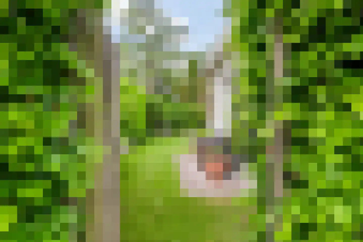 Emmaus 4 's-Hertogenbosch thumbnail 54