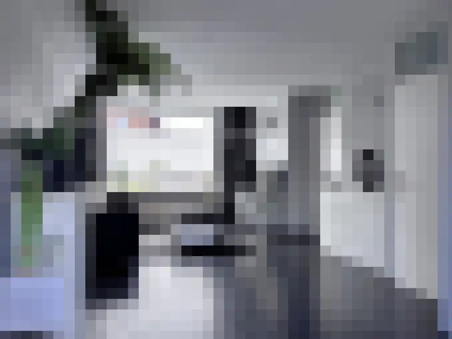 Emmaüsstraat 28 IJzendijke thumbnail 7