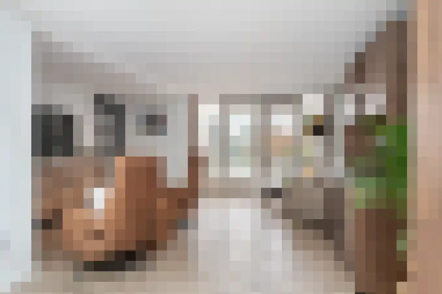 Emmausstraat 5 Sint-Oedenrode thumbnail 15