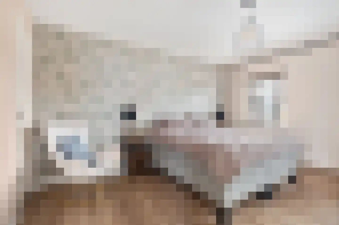 Emmausstraat 5 Sint-Oedenrode thumbnail 31