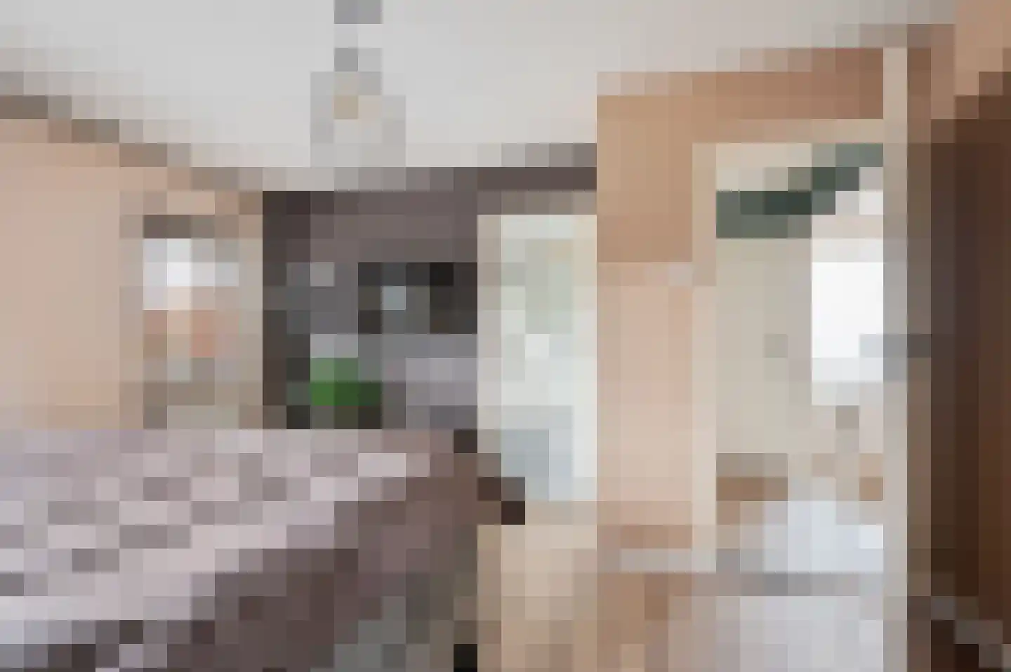 Emmausstraat 5 Sint-Oedenrode thumbnail 32