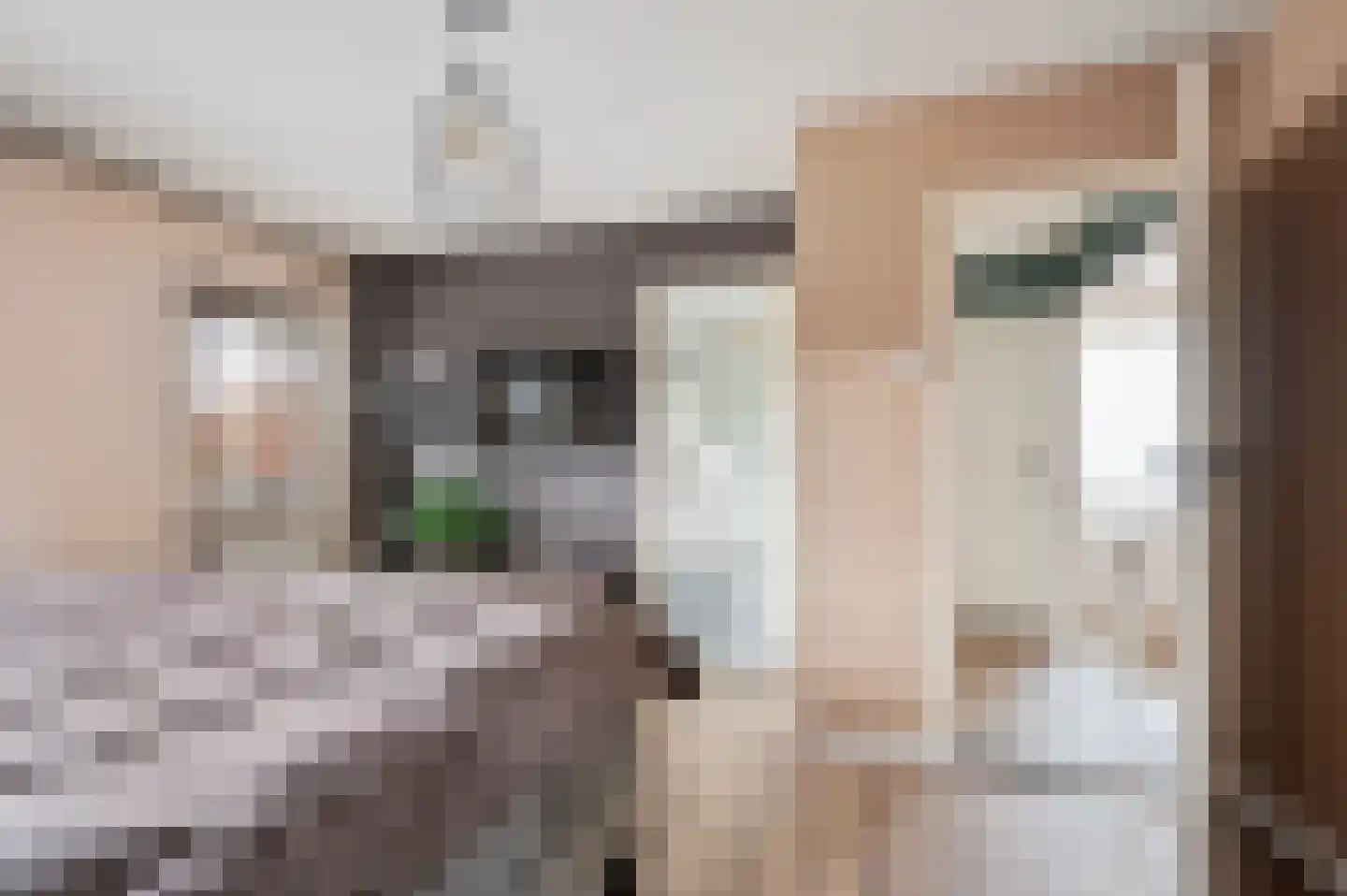 Emmausstraat 5 Sint-Oedenrode thumbnail 32