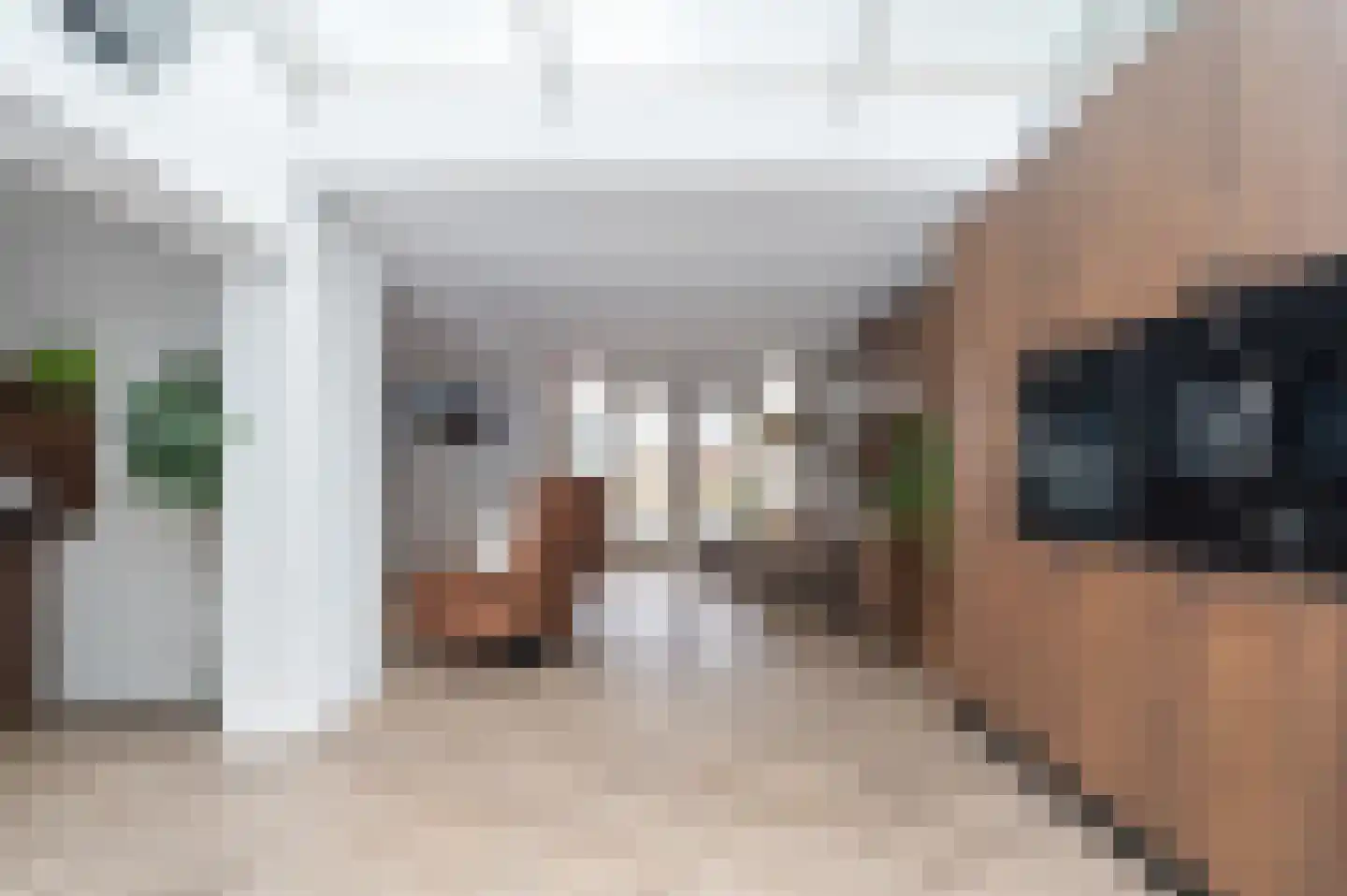 Emmausstraat 5 Sint-Oedenrode thumbnail 8