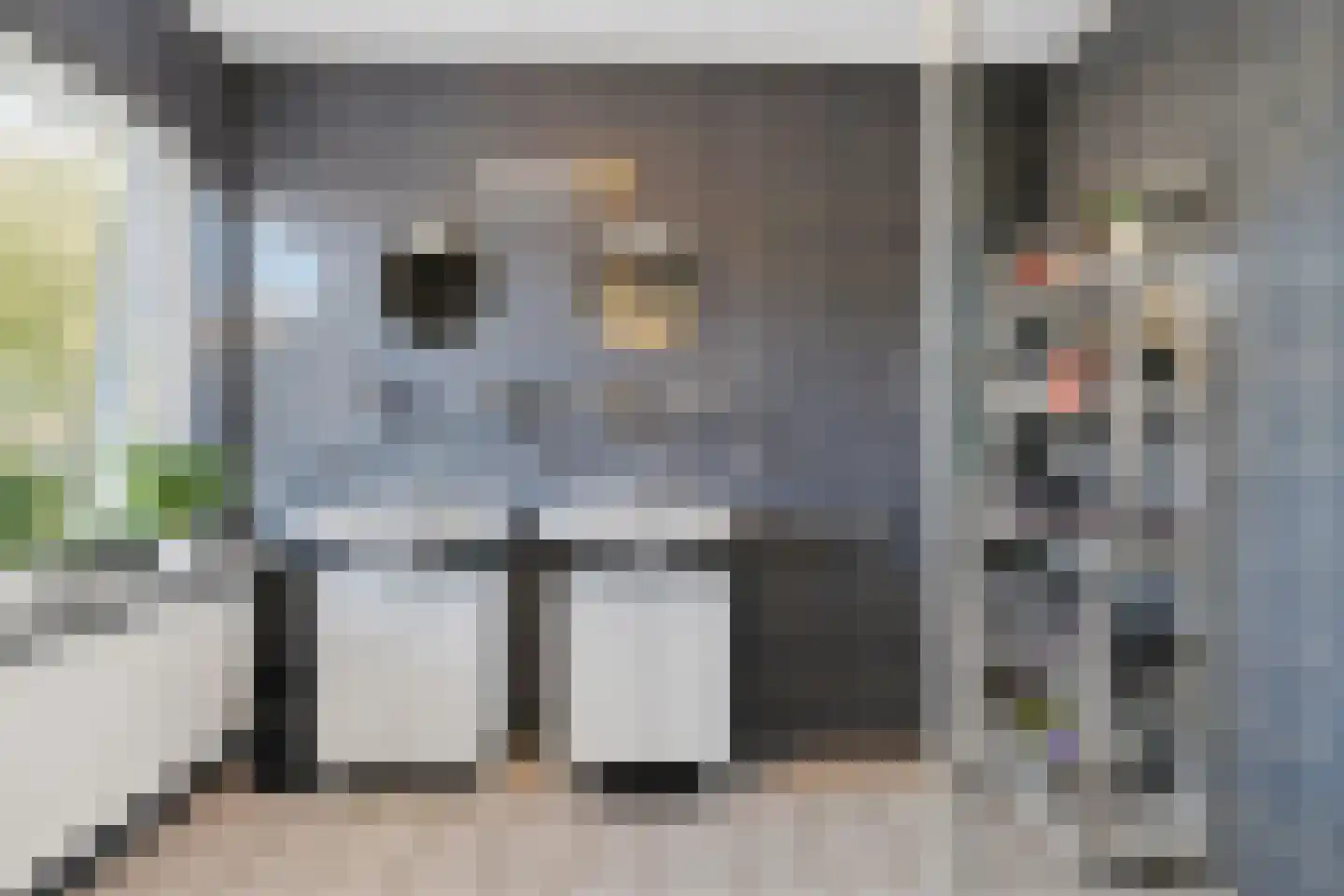 Emmaweg 1 de Wijk thumbnail 45