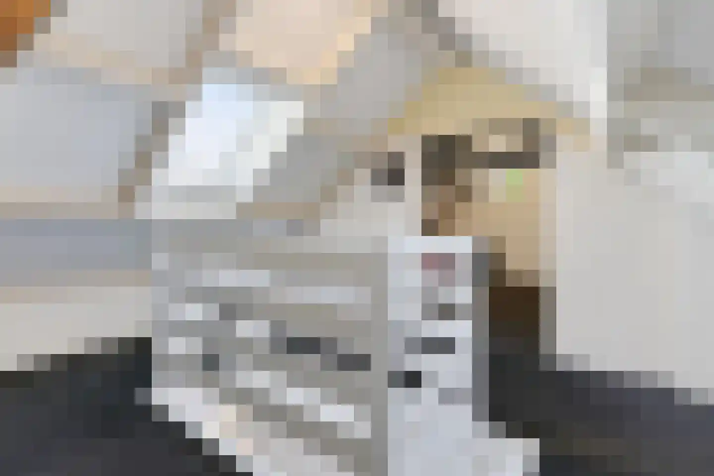 Emmaweg 1 de Wijk thumbnail 57