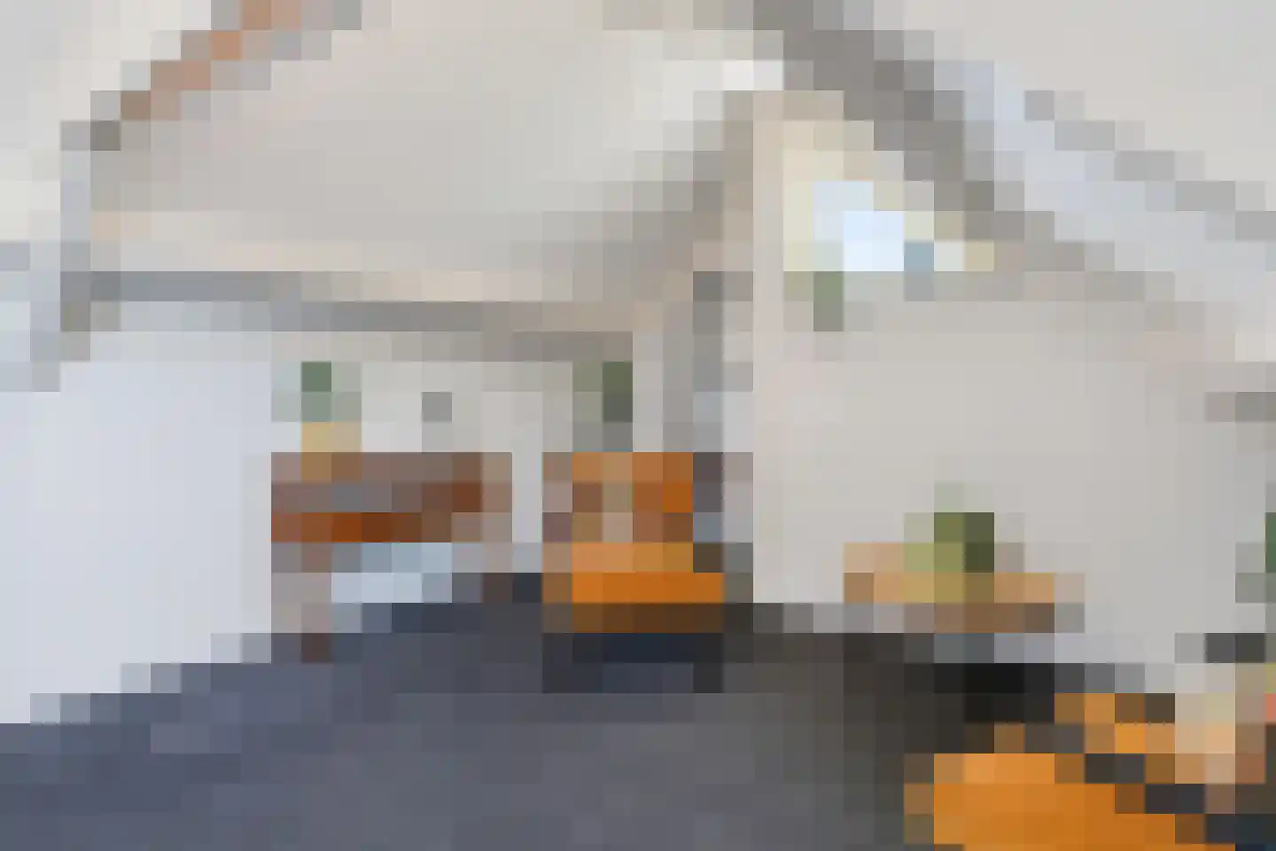 Emmaweg 1 de Wijk thumbnail 60