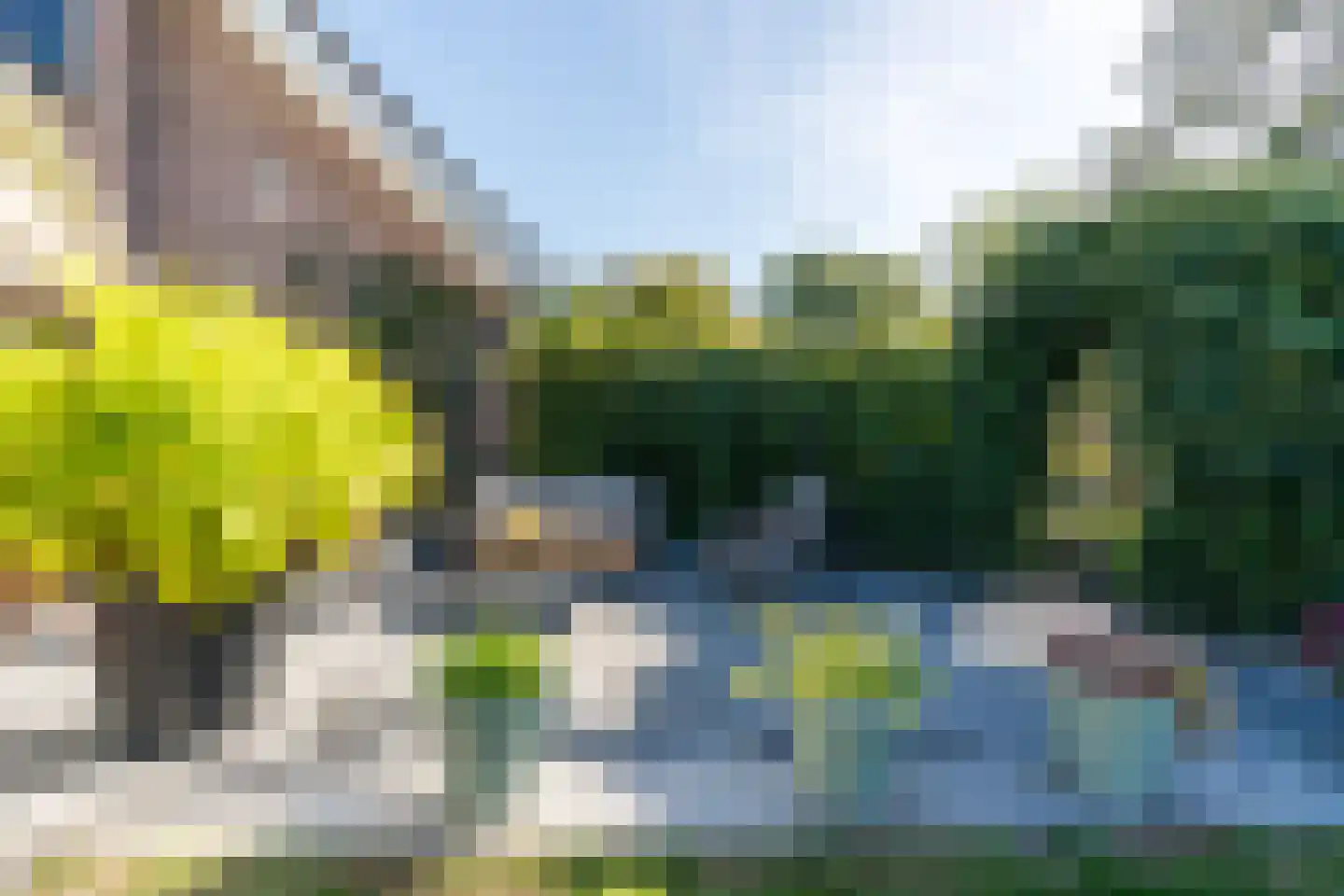 Emmaweg 1 de Wijk thumbnail 66