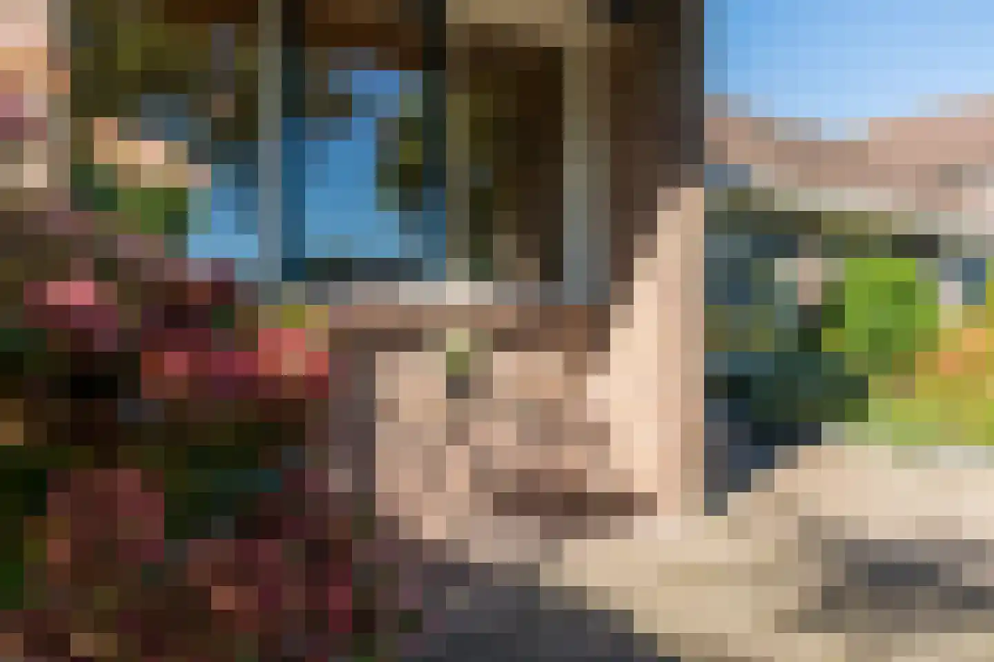 Emmaweg 1 de Wijk thumbnail 7
