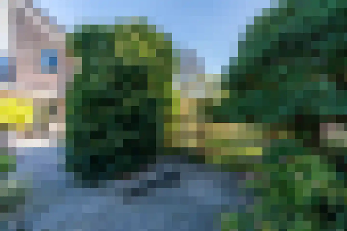 Emmaweg 1 de Wijk thumbnail 71
