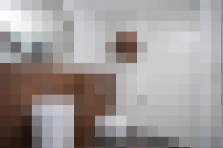 Emmaweg 12 Kortenhoef thumbnail 23