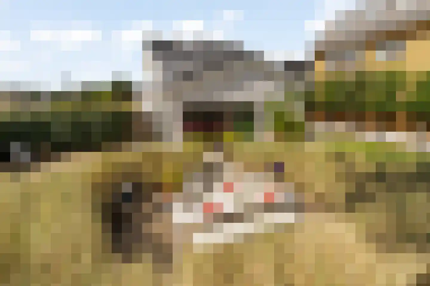 Emmaweg 15 Noordwijk thumbnail 41