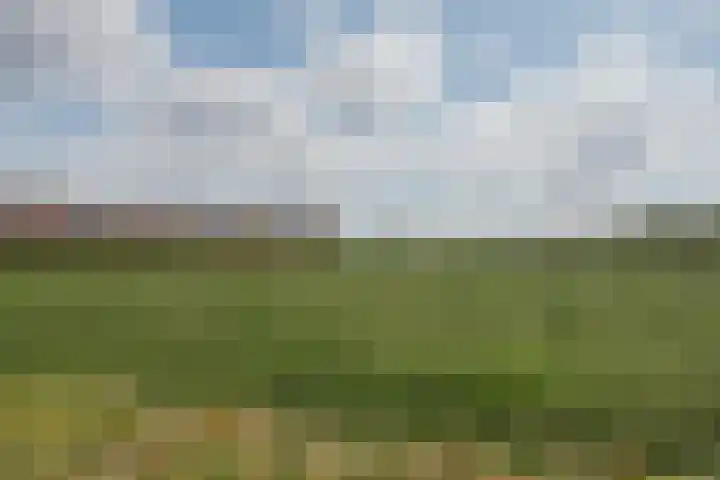 Emmaweg 17 Geertruidenberg thumbnail 48