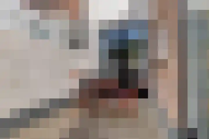 Emmaweg 17 Maarssen thumbnail 31