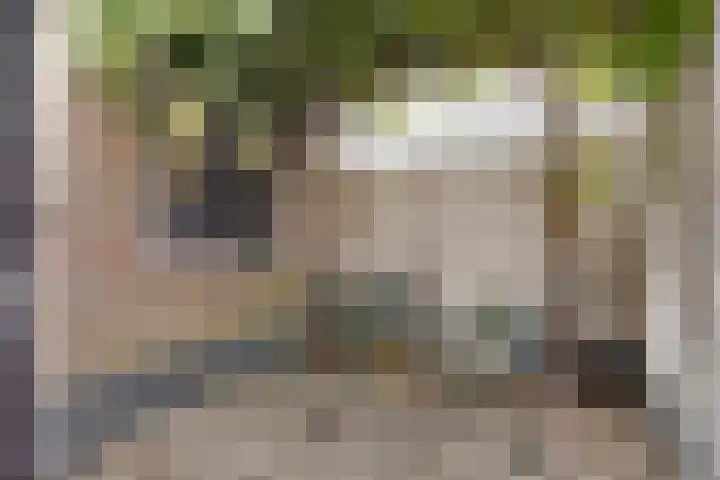 Emmaweg 17 Maarssen thumbnail 33