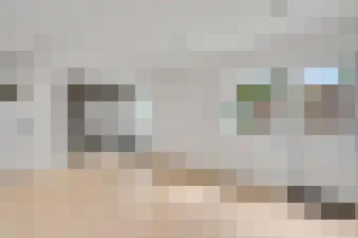 Emmaweg 18 Meerssen thumbnail 18