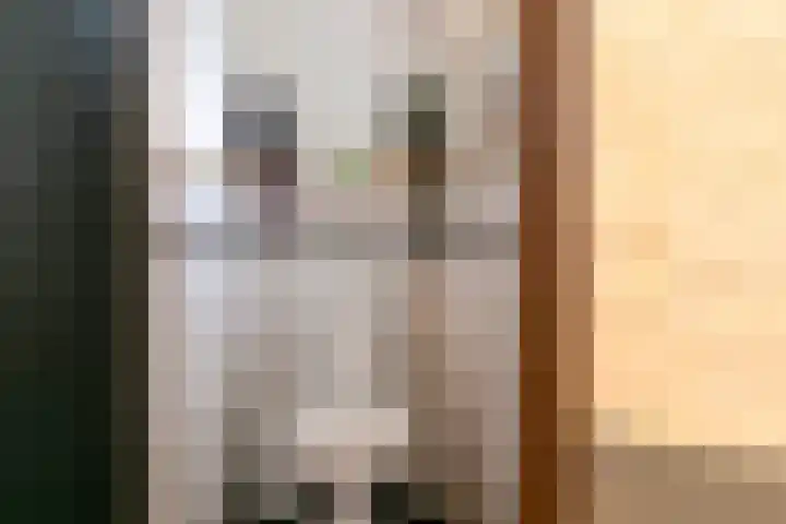Emmaweg 2 Rheden thumbnail 12