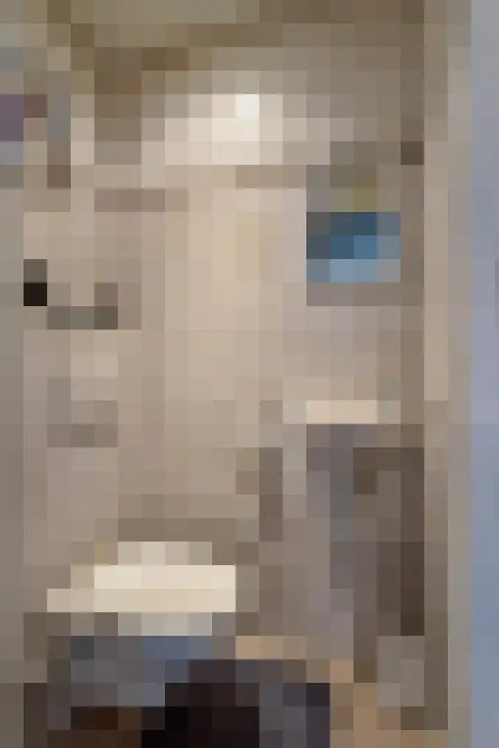 Emmaweg 22 B Made thumbnail 11