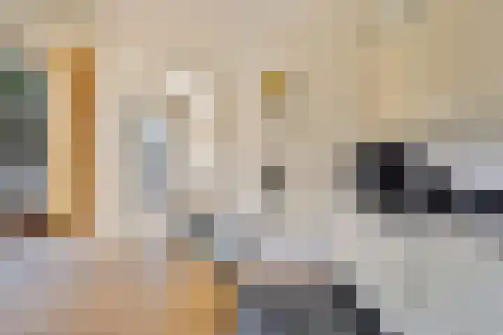 Emmaweg 22 B Made thumbnail 17