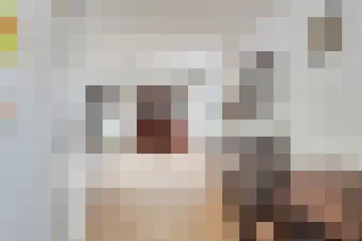 Emmaweg 23 Kortenhoef thumbnail 11