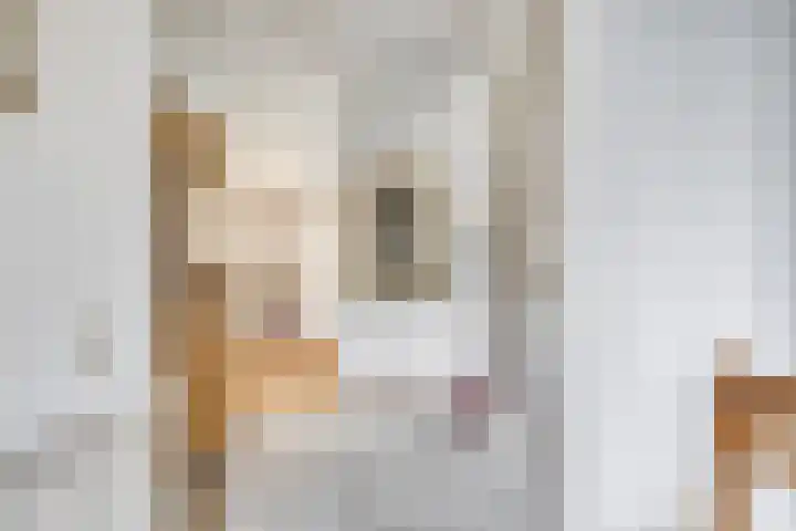 Emmaweg 23 Kortenhoef thumbnail 14