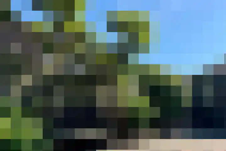 Emmaweg 23 Kortenhoef thumbnail 26