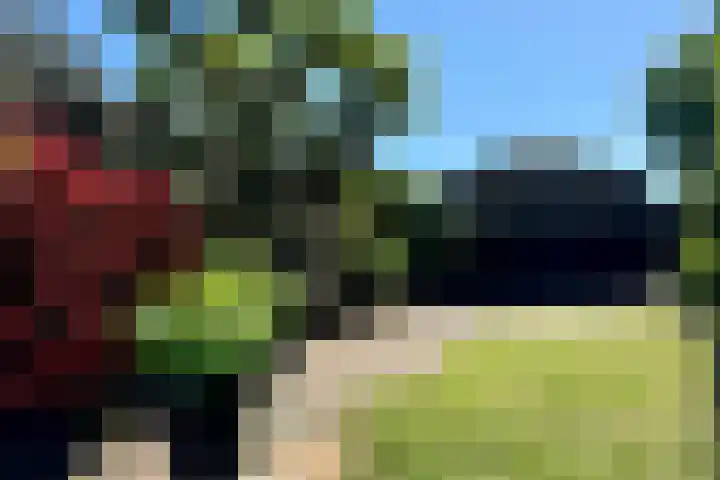Emmaweg 23 Kortenhoef thumbnail 27