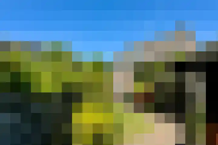Emmaweg 23 Kortenhoef thumbnail 29
