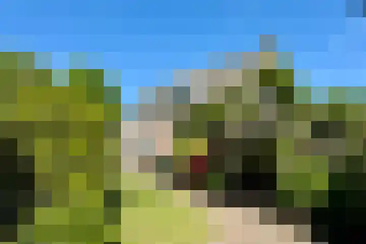 Emmaweg 23 Kortenhoef thumbnail 30