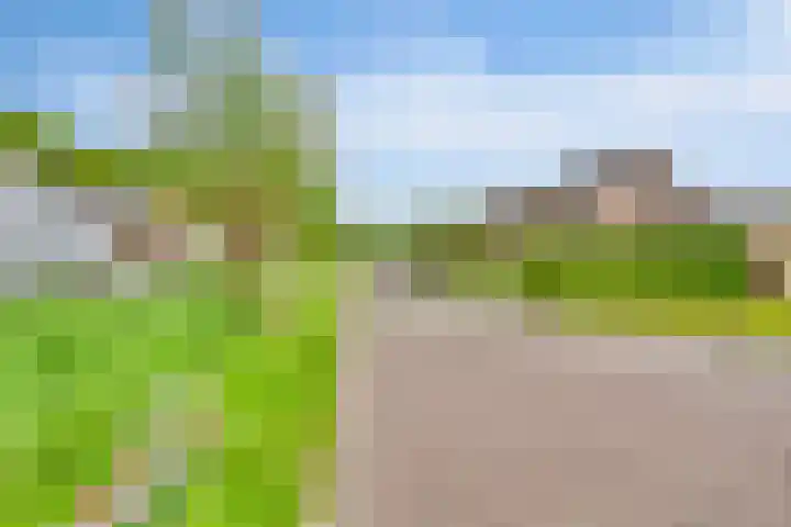 Emmaweg 23 Kortenhoef thumbnail 34