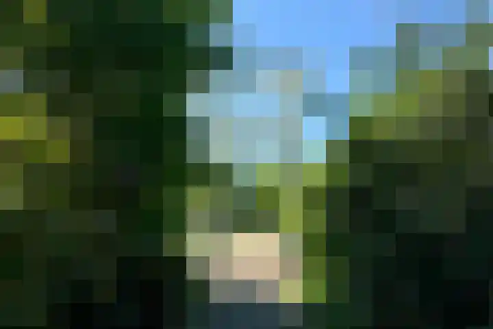 Emmaweg 23 Kortenhoef thumbnail 37