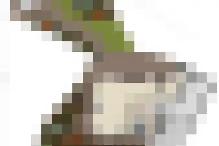 Emmaweg 23 Kortenhoef thumbnail 39