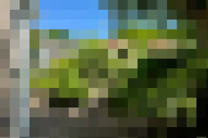 Emmaweg 23 Kortenhoef thumbnail 5