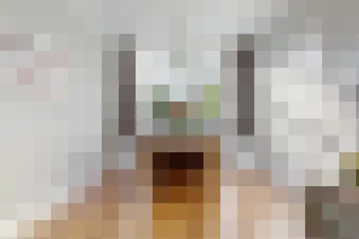 Emmaweg 26 Maarssen thumbnail 8