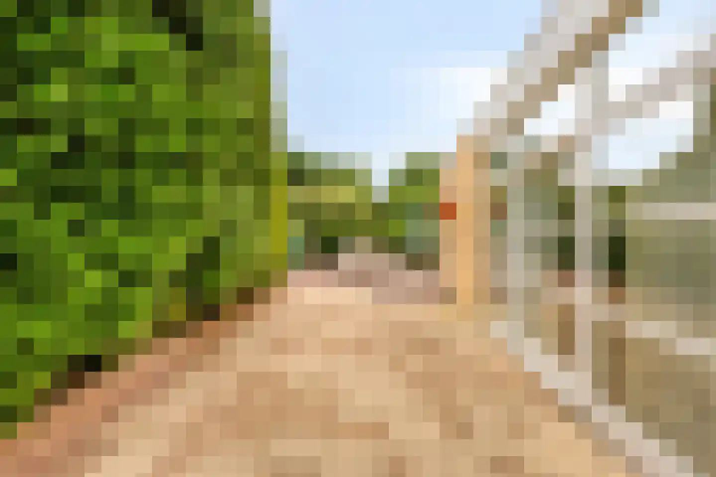 Emmaweg 31 Zandvoort thumbnail 53