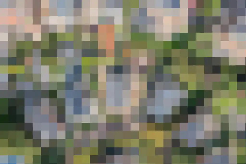 Emmaweg 31 Zandvoort thumbnail 66