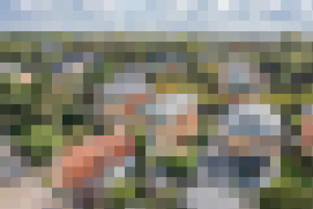 Emmaweg 31 Zandvoort thumbnail 69