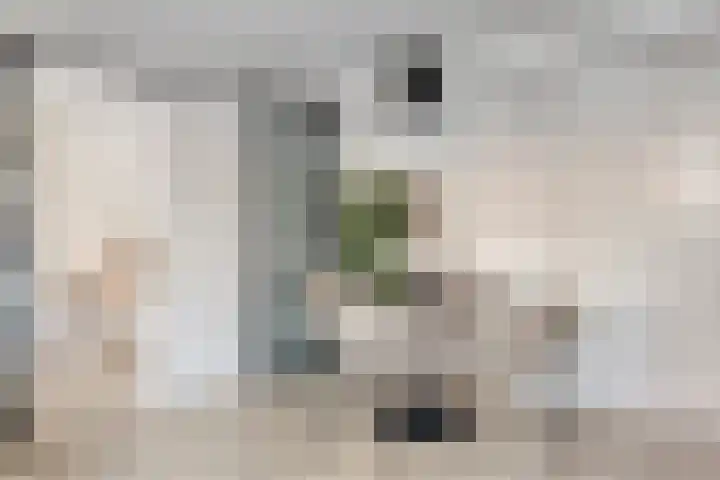 Emmaweg 35 b Maarssen thumbnail 8