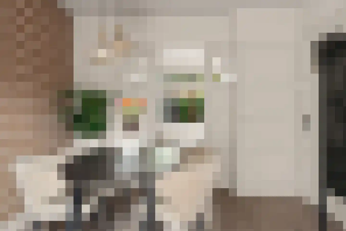 Emmaweg 4 Nieuwegein thumbnail 13