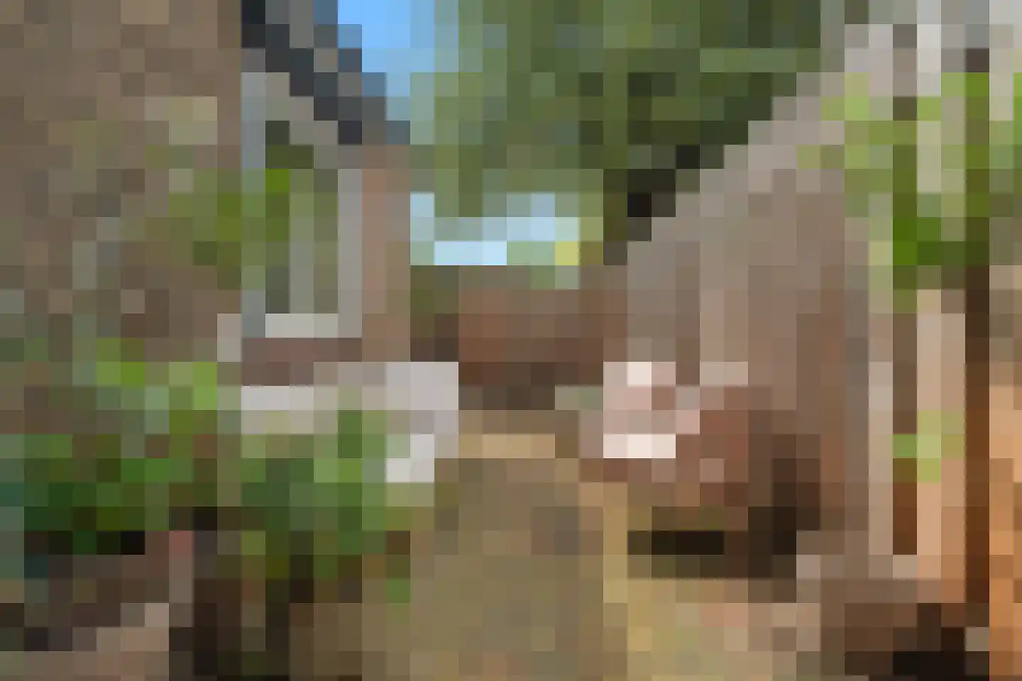 Emmaweg 4 Nieuwegein thumbnail 24