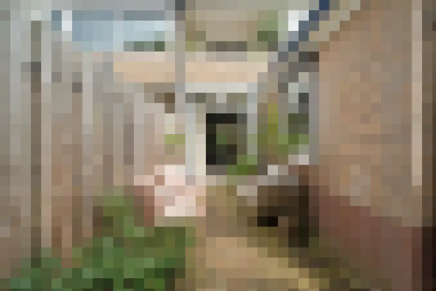 Emmaweg 4 Nieuwegein thumbnail 26