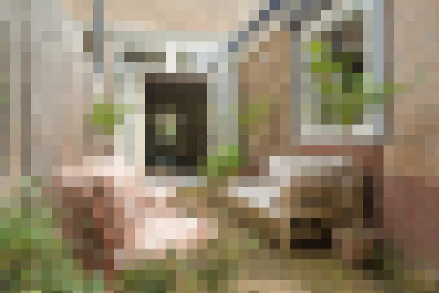 Emmaweg 4 Nieuwegein thumbnail 27