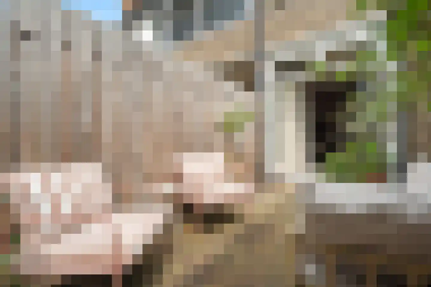 Emmaweg 4 Nieuwegein thumbnail 28