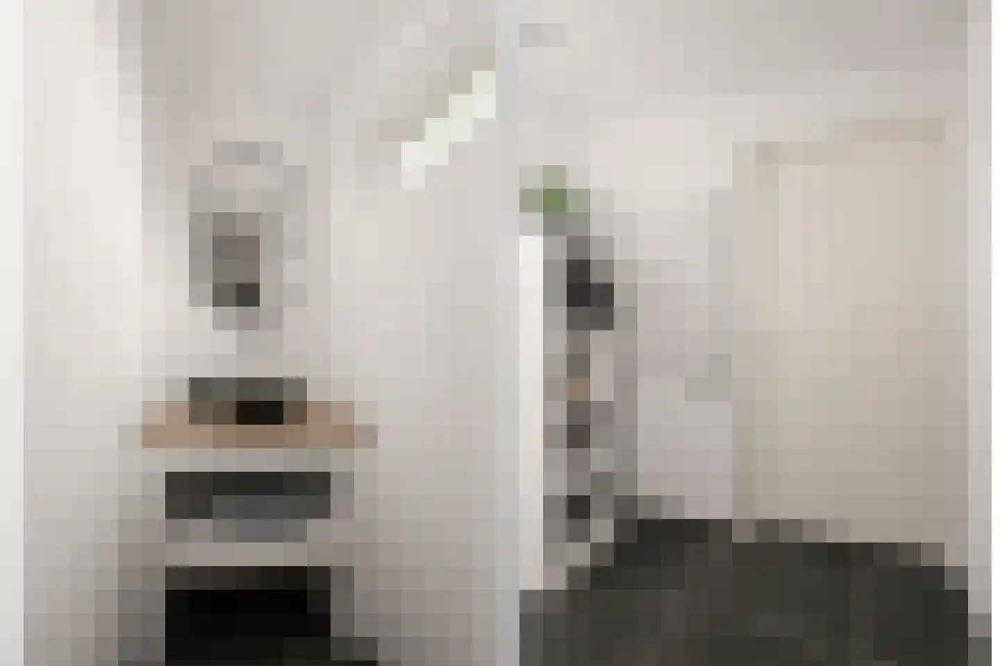 Emmaweg 4 Nieuwegein thumbnail 33
