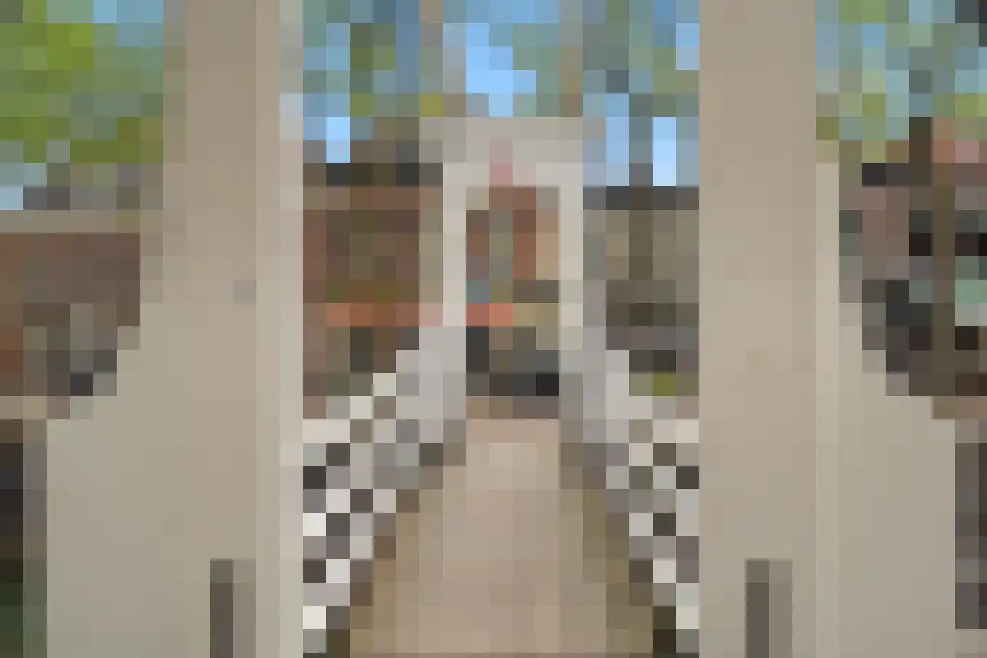 Emmaweg 4 Nieuwegein thumbnail 41