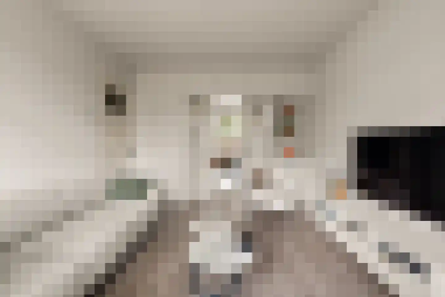 Emmaweg 4 Nieuwegein thumbnail 7