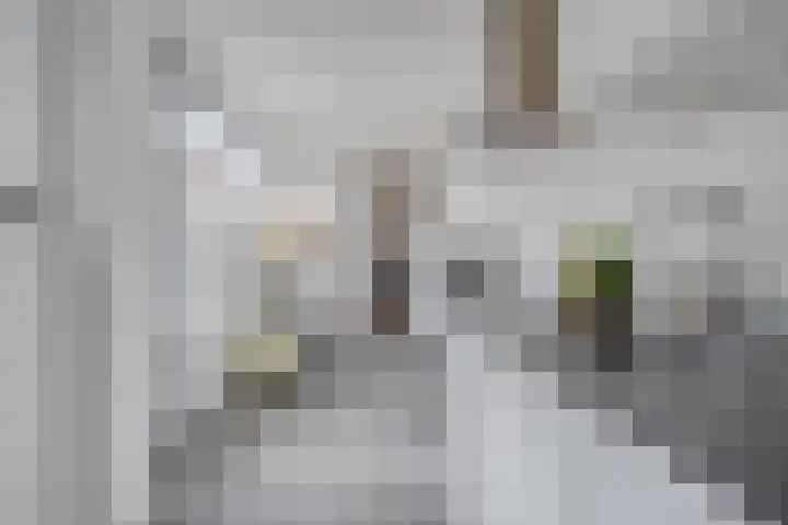 Emmaweg 44 Maarssen thumbnail 10