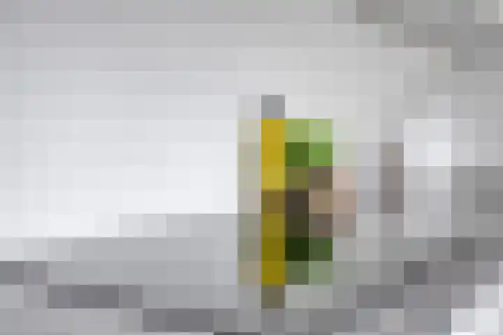 Emmaweg 44 Maarssen thumbnail 11