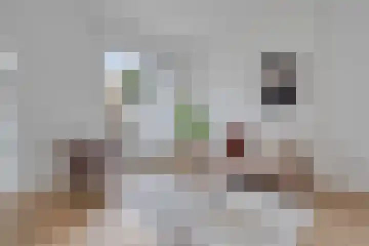 Emmaweg 44 Maarssen thumbnail 4