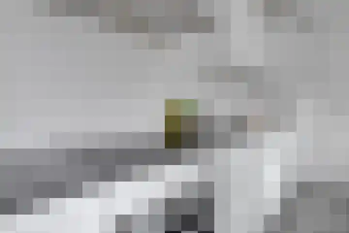 Emmaweg 44 Maarssen thumbnail 9