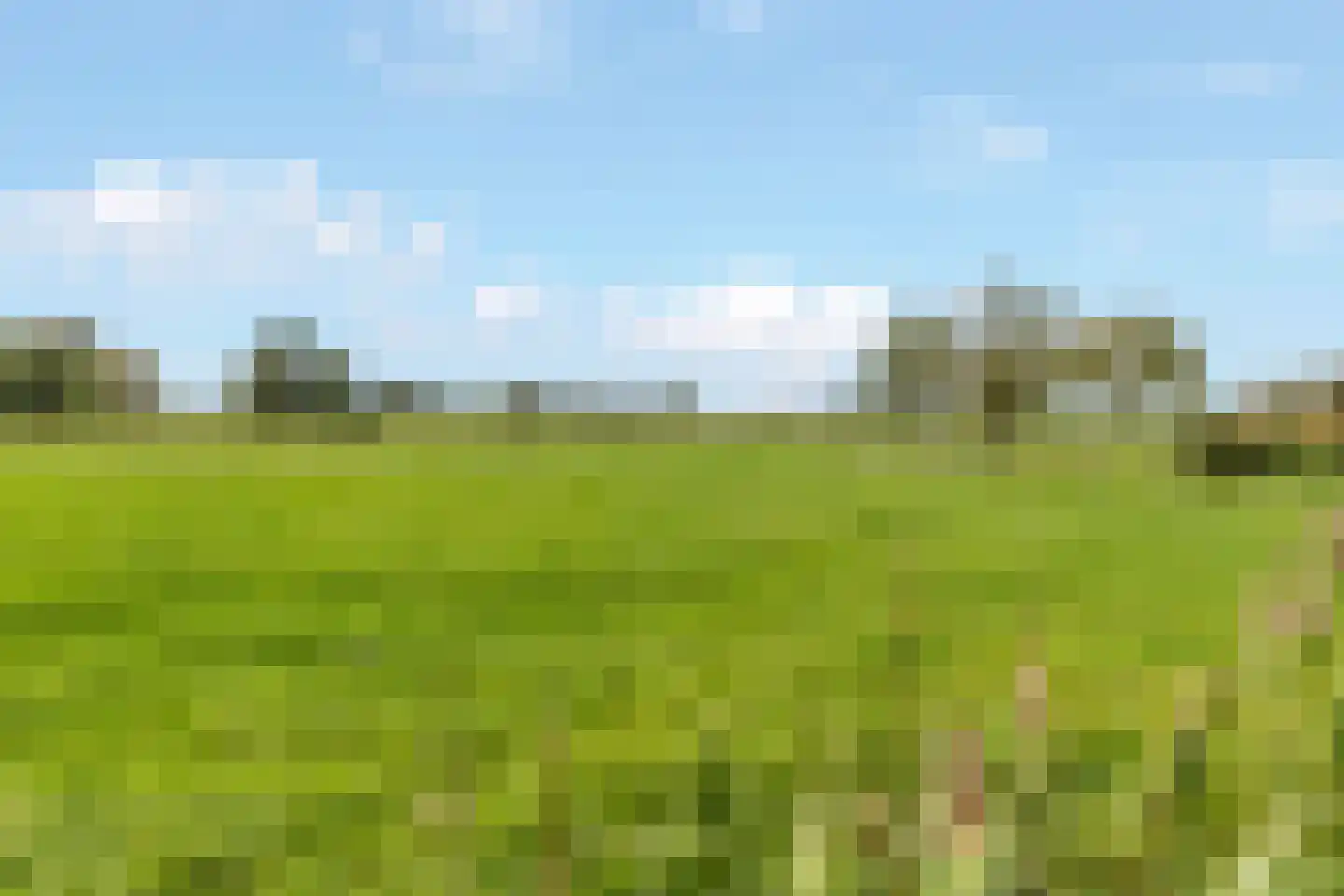 Emmaweg 49 Kortenhoef thumbnail 25